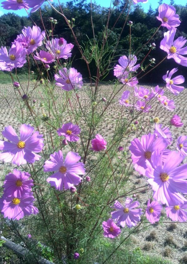 1442709138627.jpg