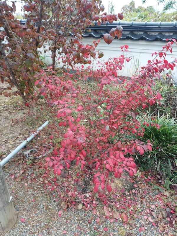20221114_080107.jpg