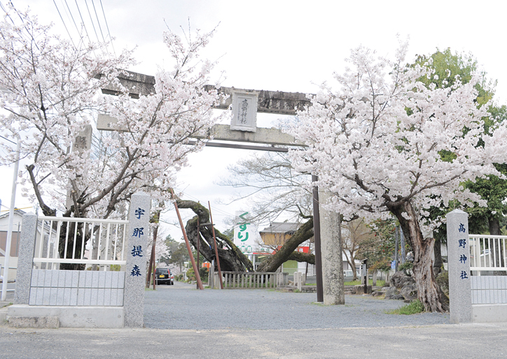 高野神社 春祭