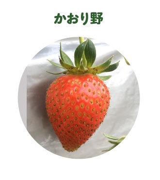 かおり野