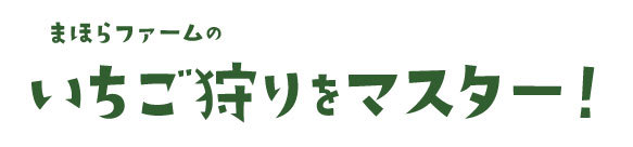 まほらファームのいちご狩りをマスター!