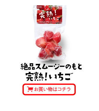 絶品スムージーのもと完熟！いちご8個セット　お買い物はこちら
