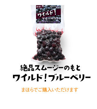 絶品スムージーのもとワイルド！ブルーベリー　購入は店頭のみ