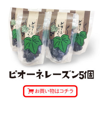 ピオーネレーズン5個セットお買い物はこちら