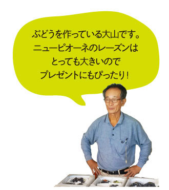 ニューピオーネのレーズンはとっても大きいのでプレゼントにもぴったり！