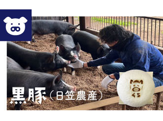黒豚（日笠農園）
