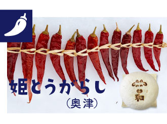 姫とうがらし（奥津）