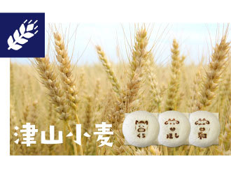 津山小麦